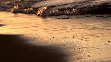 Lexington 2016 - Sve je isto Lyrics_tekst video