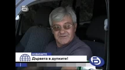 20.08.2009г. - btv новините - Дървета растат в дупките по асфалта 