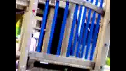 parkour