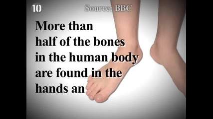 10 факта за човешкото тяло