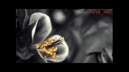 The Most Relaxing Music Imaginable