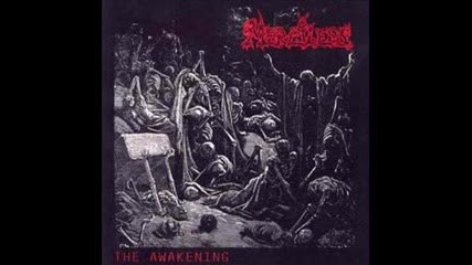 Merciless - Realm Of The Dark ( The Awakening 1990) 