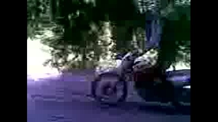 Xt600
