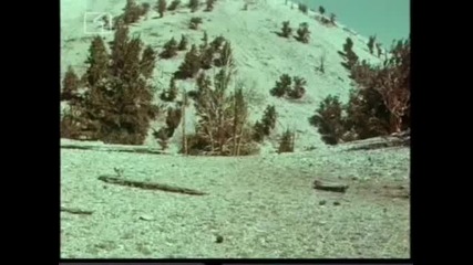 Ласи - Бг Аудио, Епизод (1965) - Във великолепието на гората