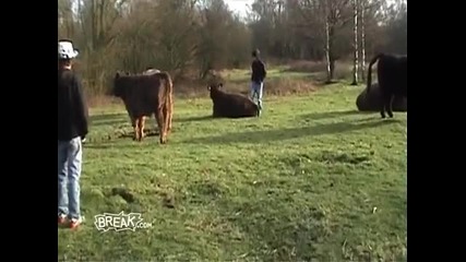 Смях - Това болеше!