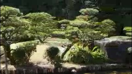 Japanese Garden on a Panasonic Gh1 