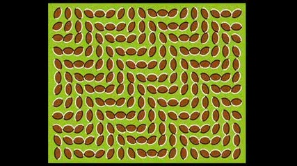 Най - яката оптична илюзия 