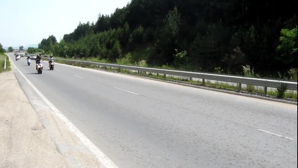 Picture 010