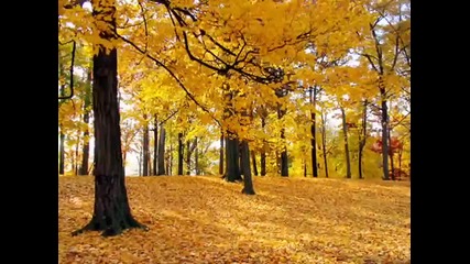 Michael Nyman, The Heart Asks Pleasure First - my version - 