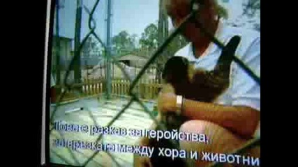 Animal Planet - One Little Zoo