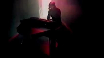 Zebra - Tell Me What You Want