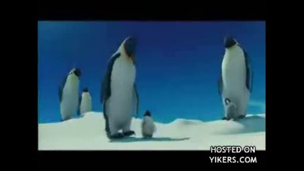 Пингвини Рапъри