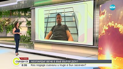 Откриха ли следи от черния леопард във Варненско