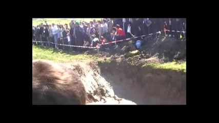 Д.езерово 4х4 