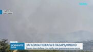Локализиран е пожарът в Пазарджишко, 10 пожарни са на терен