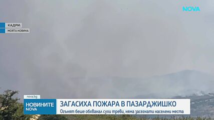 Локализиран е пожарът в Пазарджишко, 10 пожарни са на терен