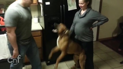 куче защитава бременна жена