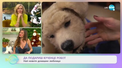 Да подариш кученце робот - Най-новите домашни любимци - „На кафе” (15.12.2020)