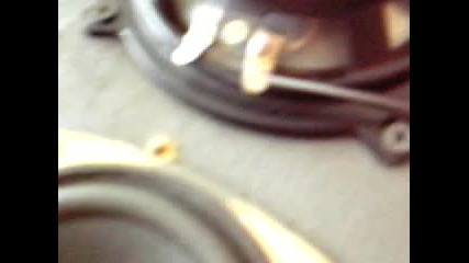 Dsci0001 (2)