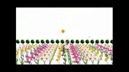 Misako Sakazume Muzik