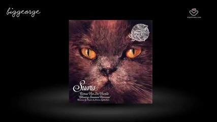 Taras Van De Voorde - Chasing Winters ( Jerome Sydenham's Vortex Dub Remix ) Preview [high quality]