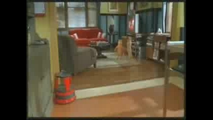 Funny Anamation Parodia I Like To Movied