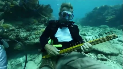 Музика и танци ... под водата