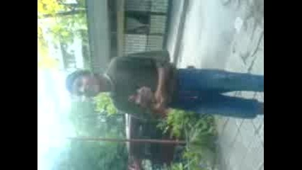Parodia Na Amet