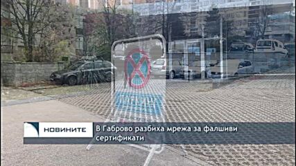 В Габрово разбиха мрежа за фалшиви сертификати
