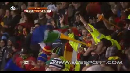 World Cup Испания - Португалия 1:0 - David Villa 