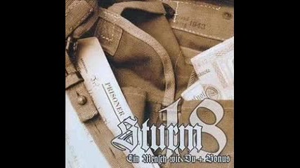 Sturm 18 - Der neue Frieden 