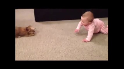 Baby Dog Whisperer! Cesar Millan has nothing on her!! Shorkie Puppy Talks to Baby[360p]