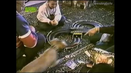 Смешни Животни - Кучета С/у Машини