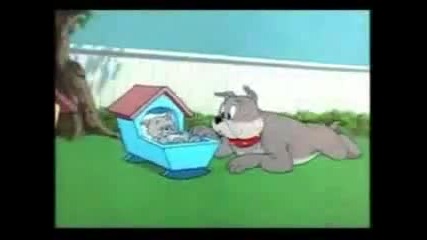 Tom & Jerry 