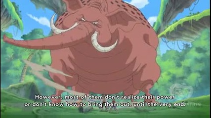 One Piece Episode 516 Eng