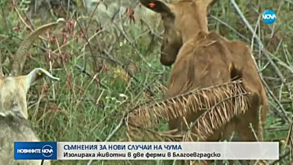Новините на NOVA (27.07.2018 - лятна късна)