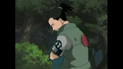 Shikamaru Vs Tayuya Battle