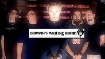 Darwin's Waiting Room - Back That Azz
