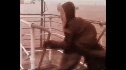 Ella - Zalim Dunya - Azeri Clip