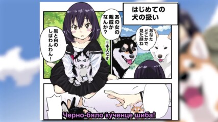 【 Bg Sub 】 Sekai no Owari ni Shiba Inu to 60