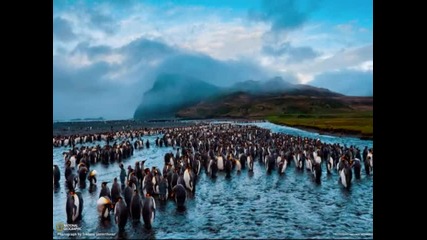 Enya - The Longships / pictures by National Geographic