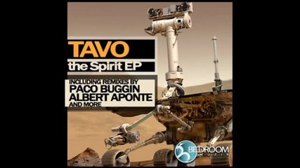 Tavo - The Spirit (paco Buggin Mix)