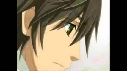 Junjou Romantica AMV - Touch