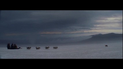 David Guetta - She Wolf ( Falling To Pieces) ft. Sia ( Official Vevo) Hd 1080p