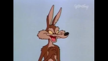 Road Runner and the Wile Coyote - Boulder Wham!