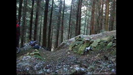 Freeride