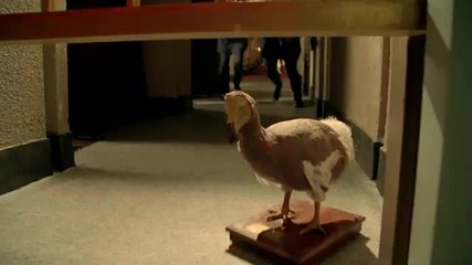 Бягство от луксозен затвор