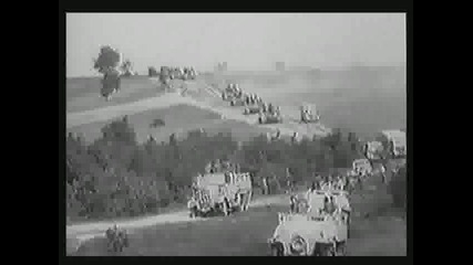 Tiger & Panther 8 