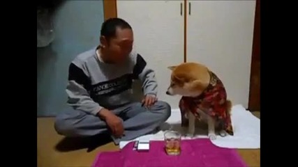 Куче на дава на стопанина си да пие!