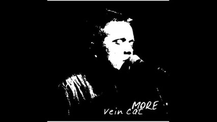 vein cat - more 